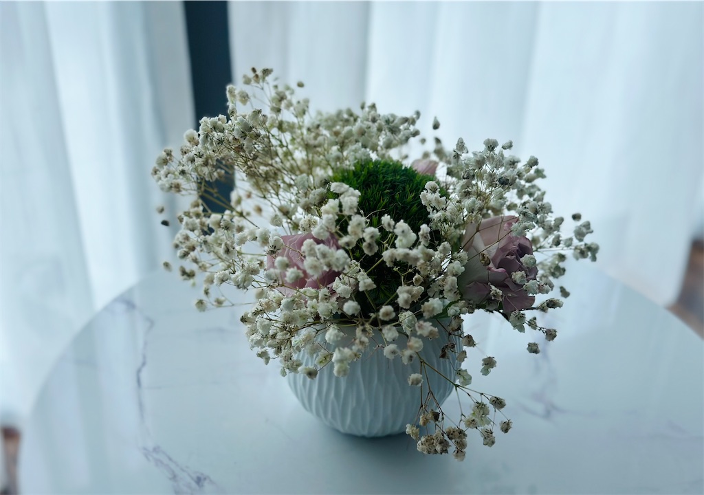 f:id:A-hanoi:20240317191519j:image