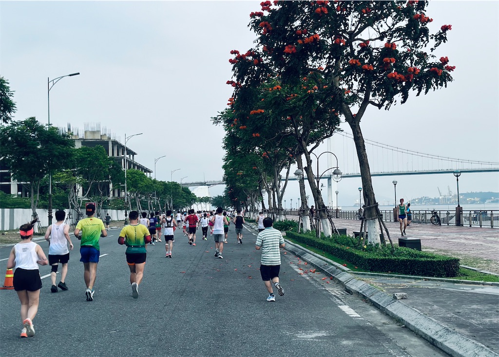 f:id:A-hanoi:20240326193722j:image f:id:A-hanoi:20240326193722j:image