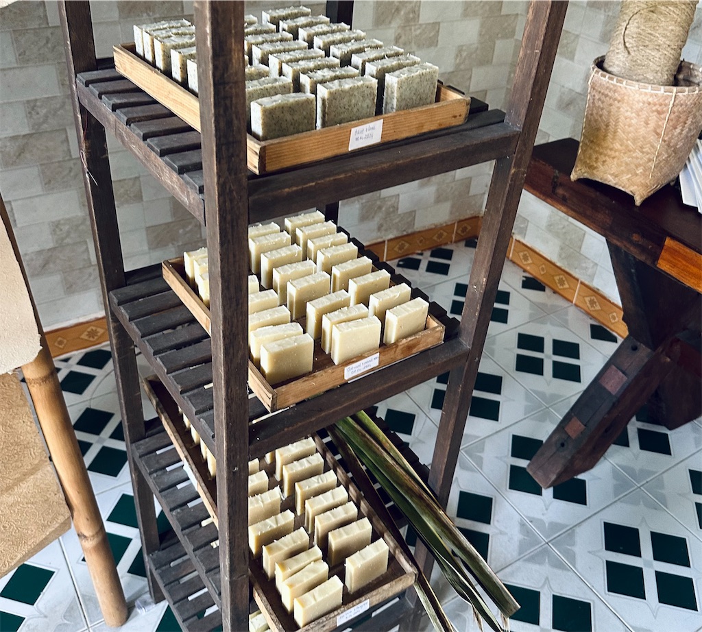 f:id:A-hanoi:20240327133837j:image f:id:A-hanoi:20240327133837j:image