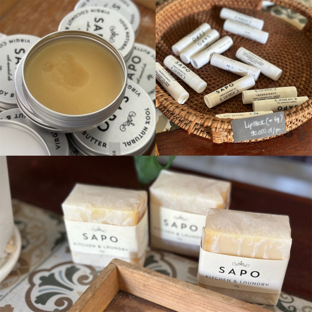 f:id:A-hanoi:20240327134655j:image f:id:A-hanoi:20240327134655j:image