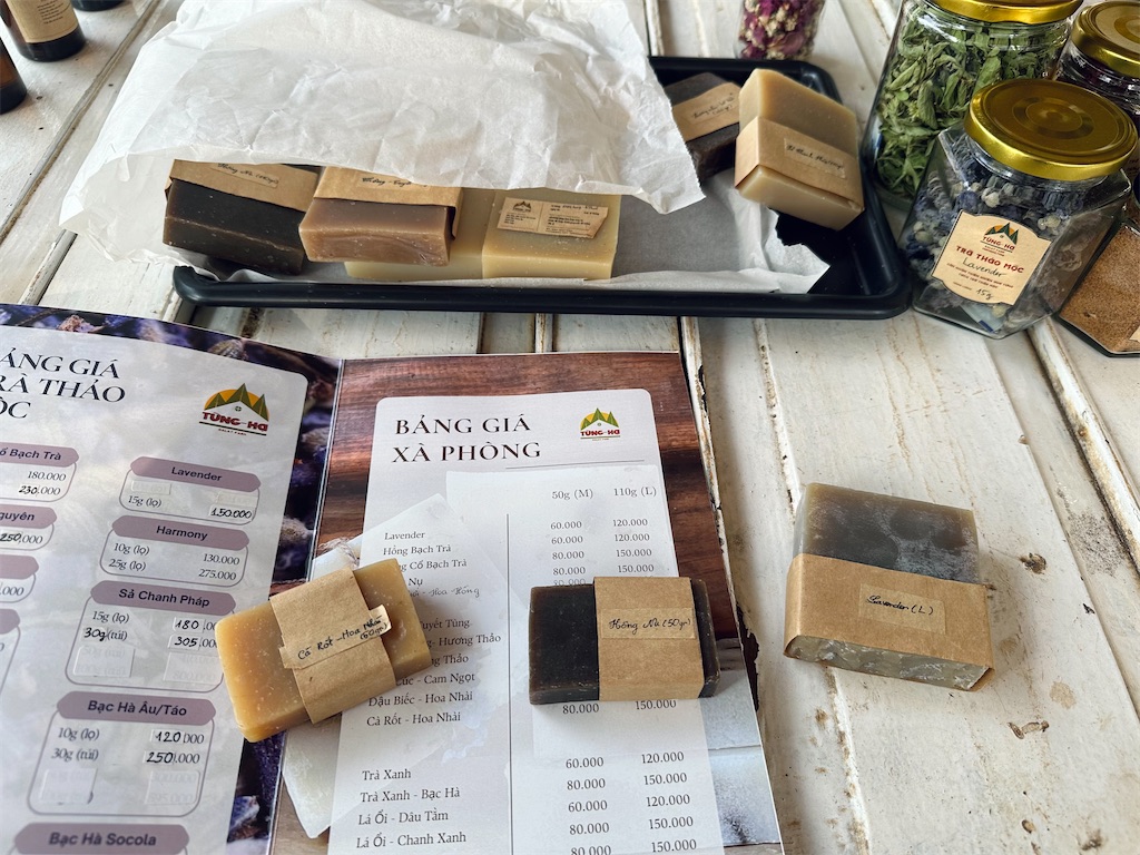 f:id:A-hanoi:20240507191140j:image