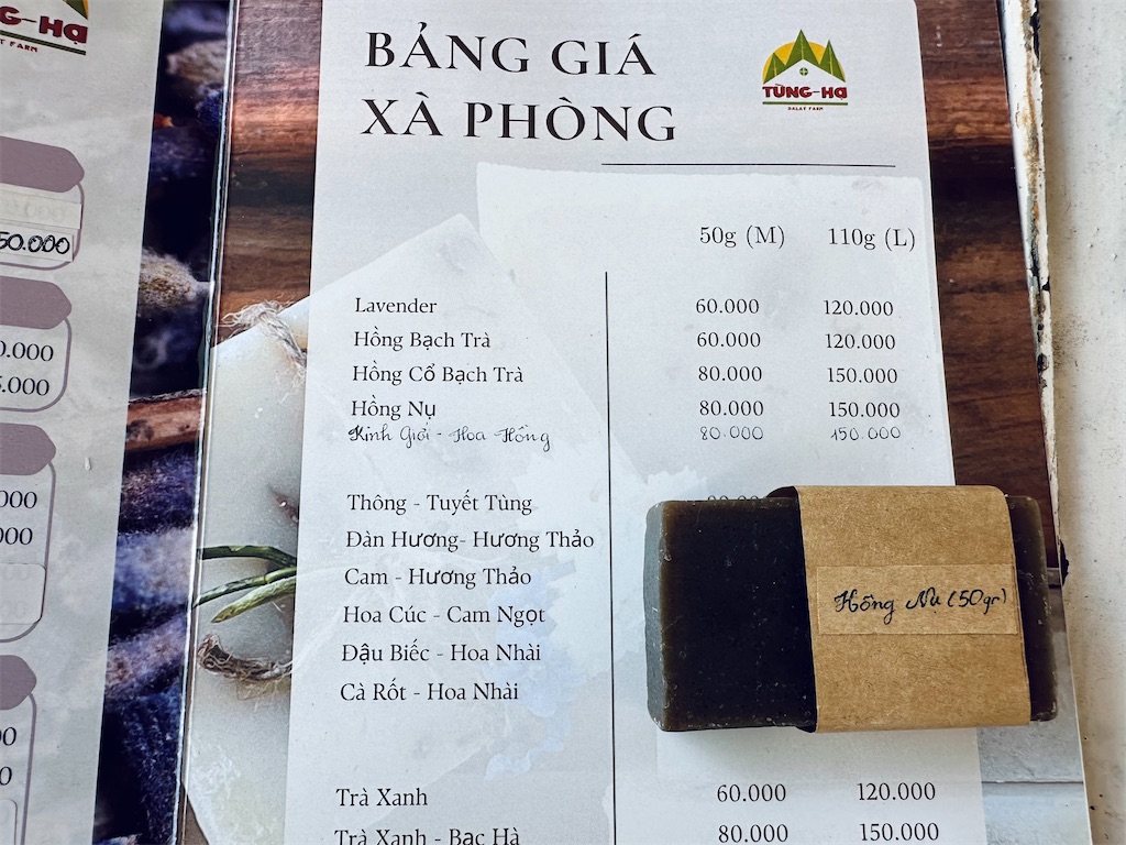 f:id:A-hanoi:20240507191305j:image