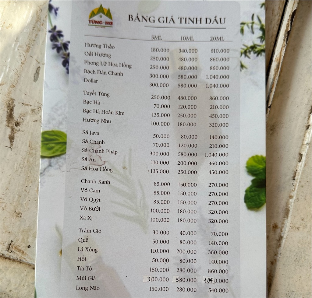f:id:A-hanoi:20240507191308j:image