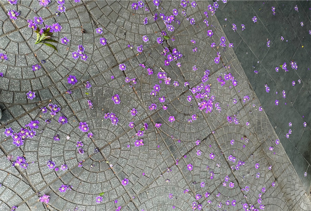 f:id:A-hanoi:20240512182905j:image