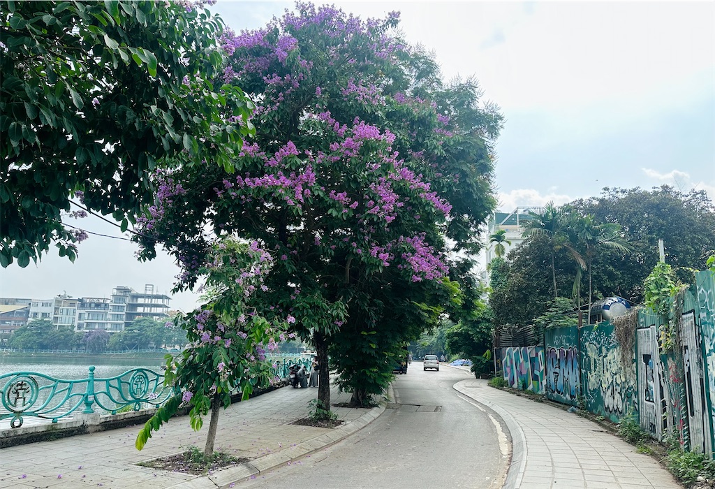 f:id:A-hanoi:20240517120536j:image