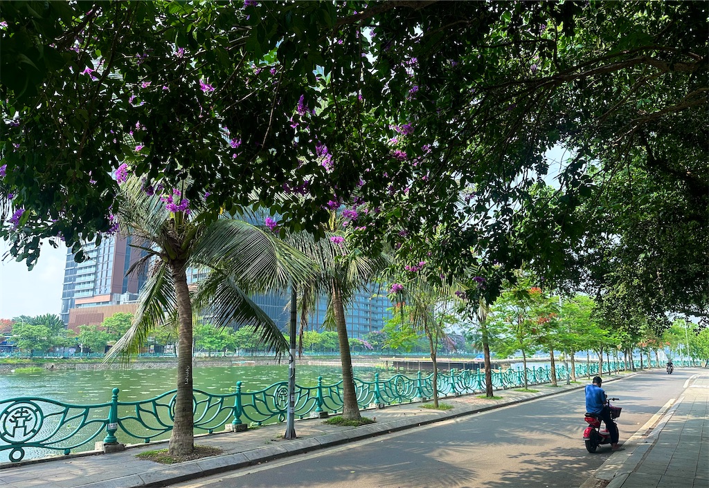 f:id:A-hanoi:20240517120538j:image