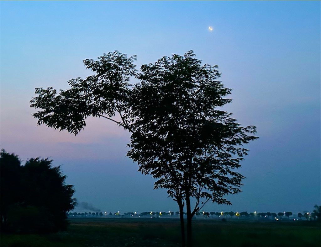 f:id:A-hanoi:20240522112200j:image