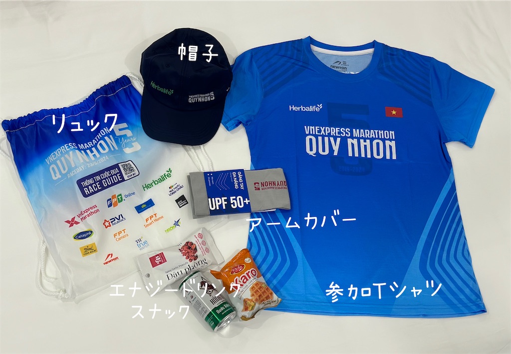 f:id:A-hanoi:20240627180957j:image