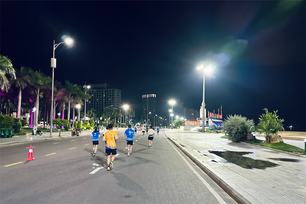 f:id:A-hanoi:20240627182040j:image