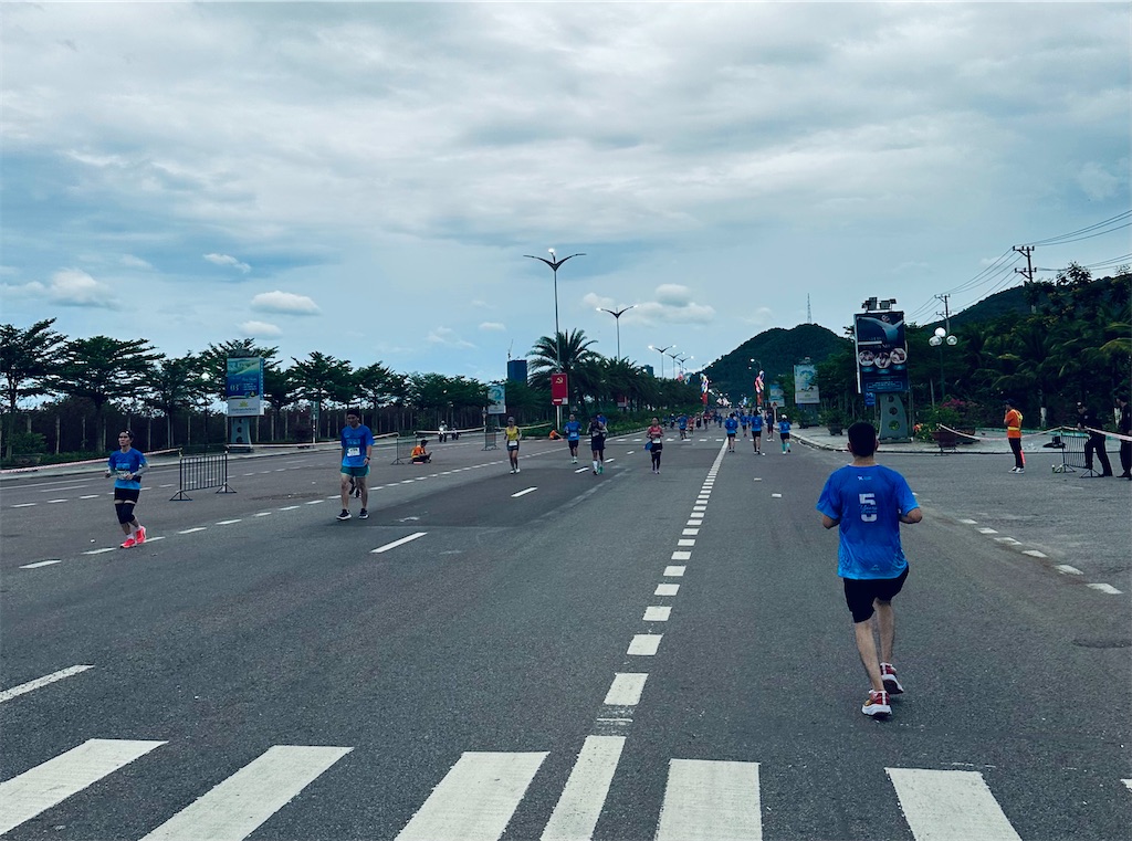 f:id:A-hanoi:20240628133144j:image