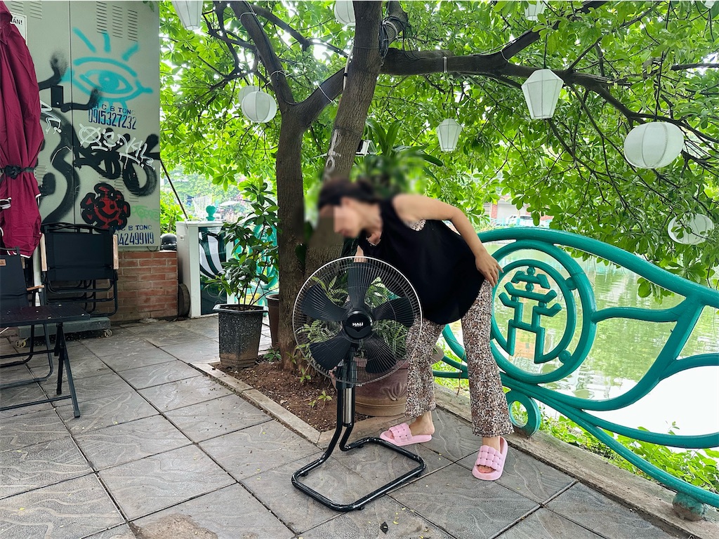 f:id:A-hanoi:20240710183342j:image