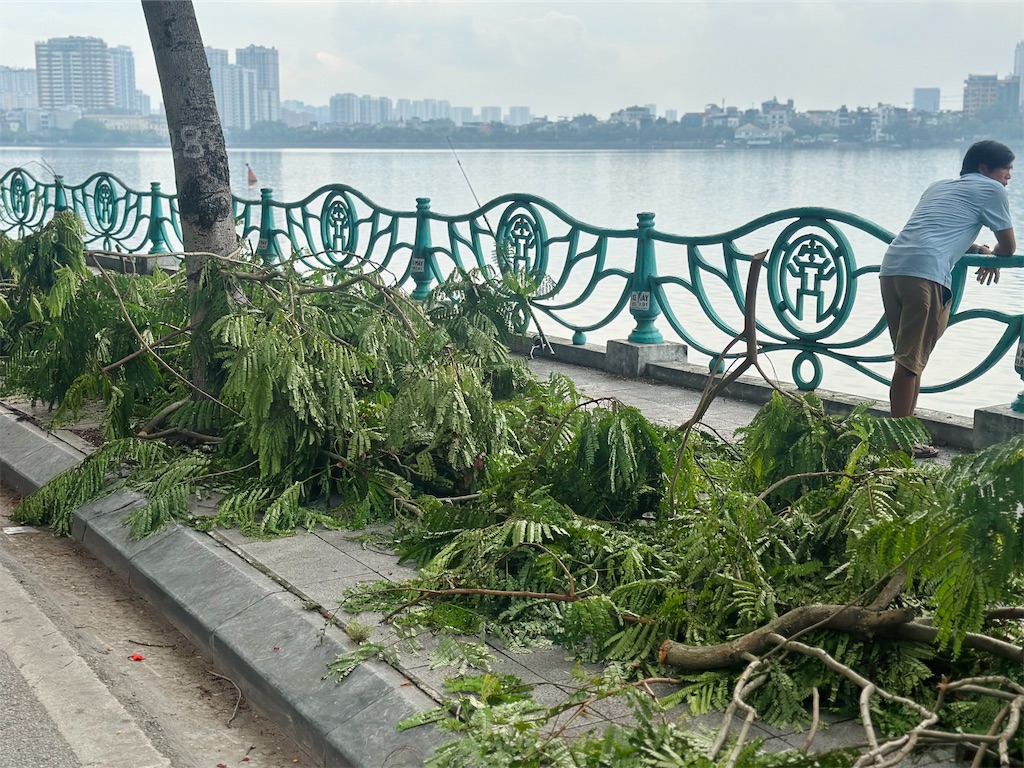 f:id:A-hanoi:20240710185308j:image