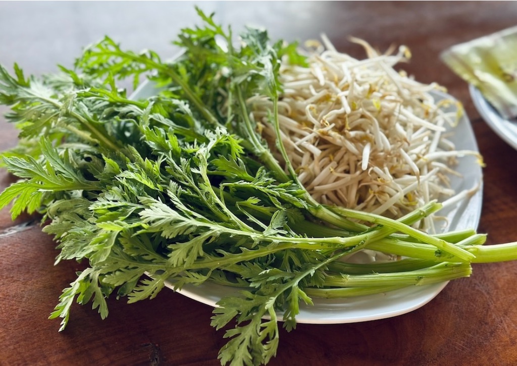 f:id:A-hanoi:20240729180602j:image