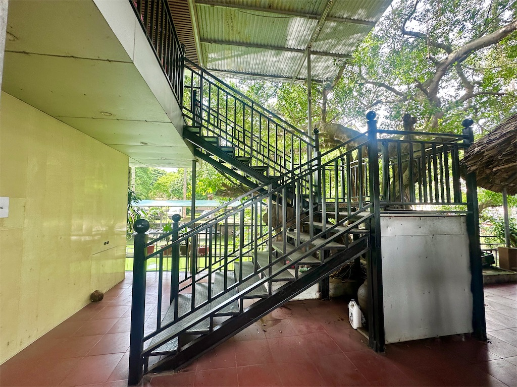 f:id:A-hanoi:20240819092437j:image