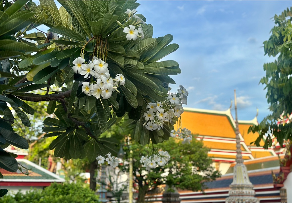 f:id:A-hanoi:20240904183948j:image