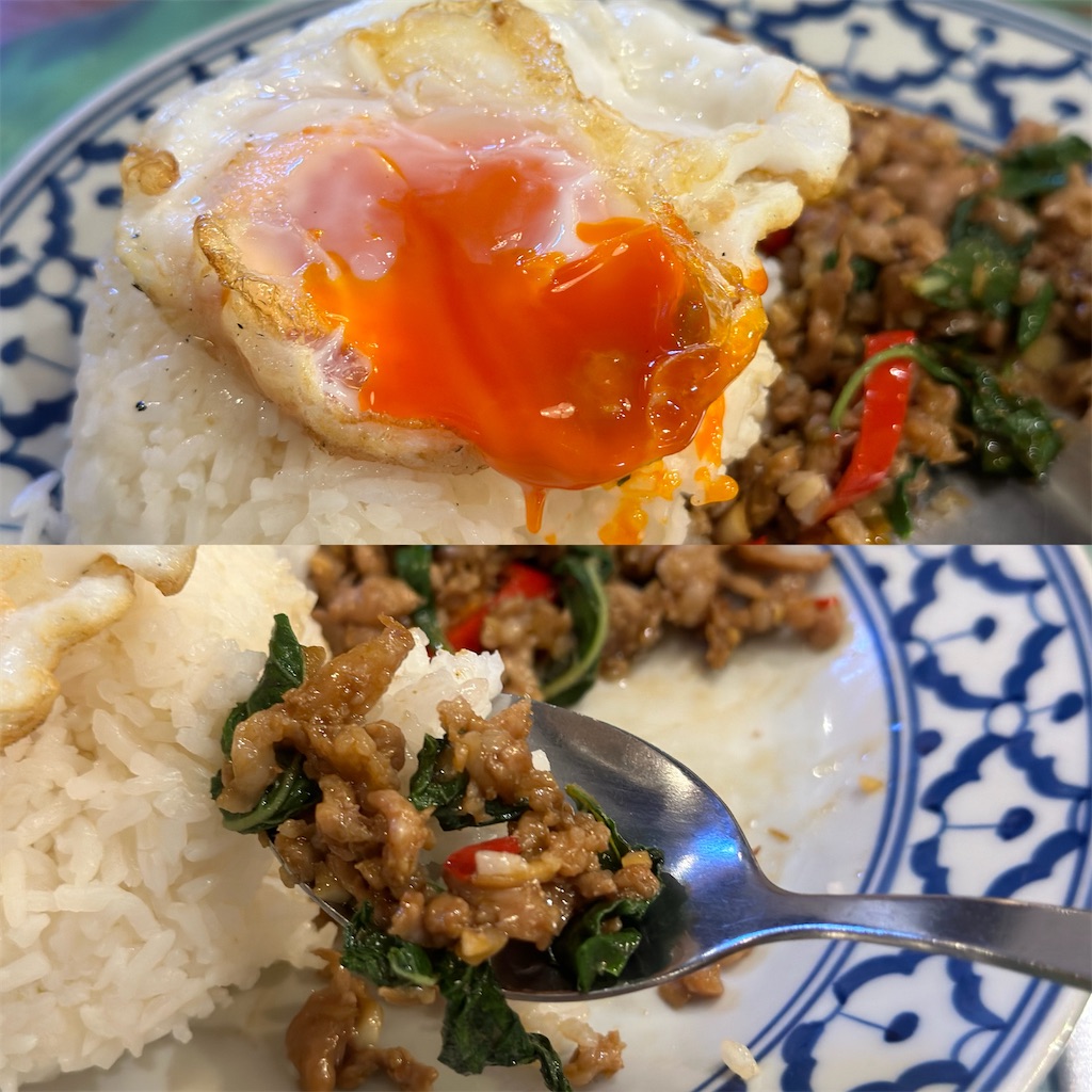 f:id:A-hanoi:20240904185357j:image