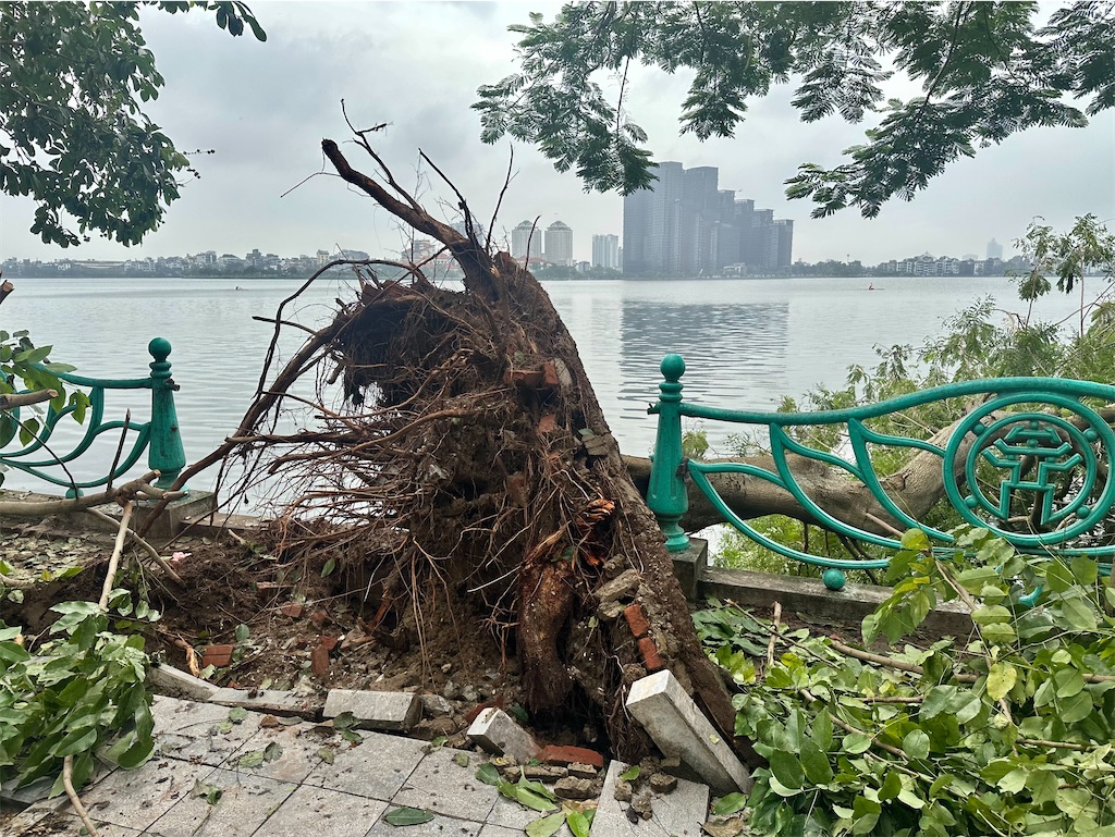 f:id:A-hanoi:20240912110644j:image