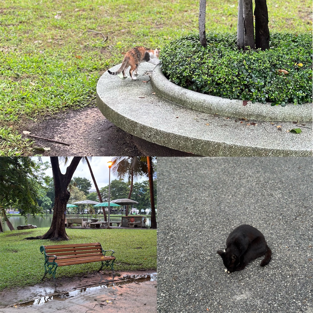 f:id:A-hanoi:20241002184957j:image f:id:A-hanoi:20241002184957j:image