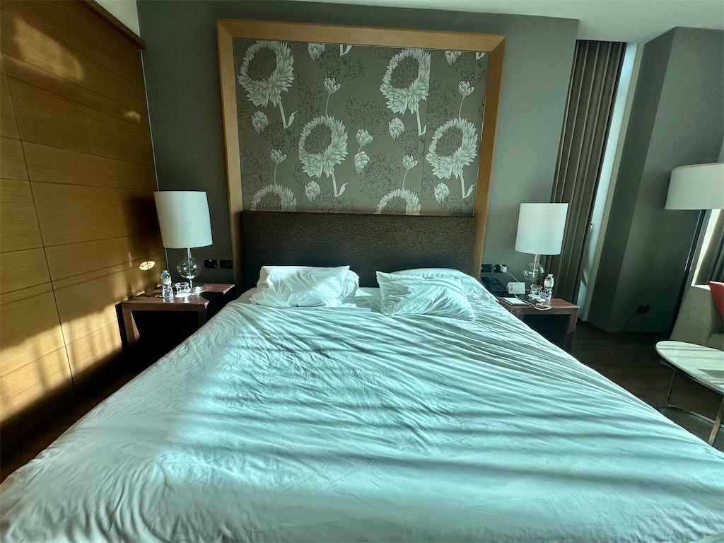 f:id:A-hanoi:20241007142336j:image f:id:A-hanoi:20241007142336j:image