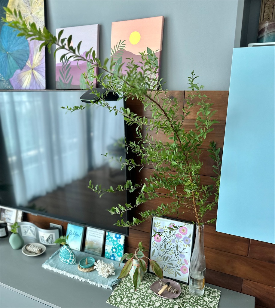 f:id:A-hanoi:20241015183315j:image f:id:A-hanoi:20241015183315j:image