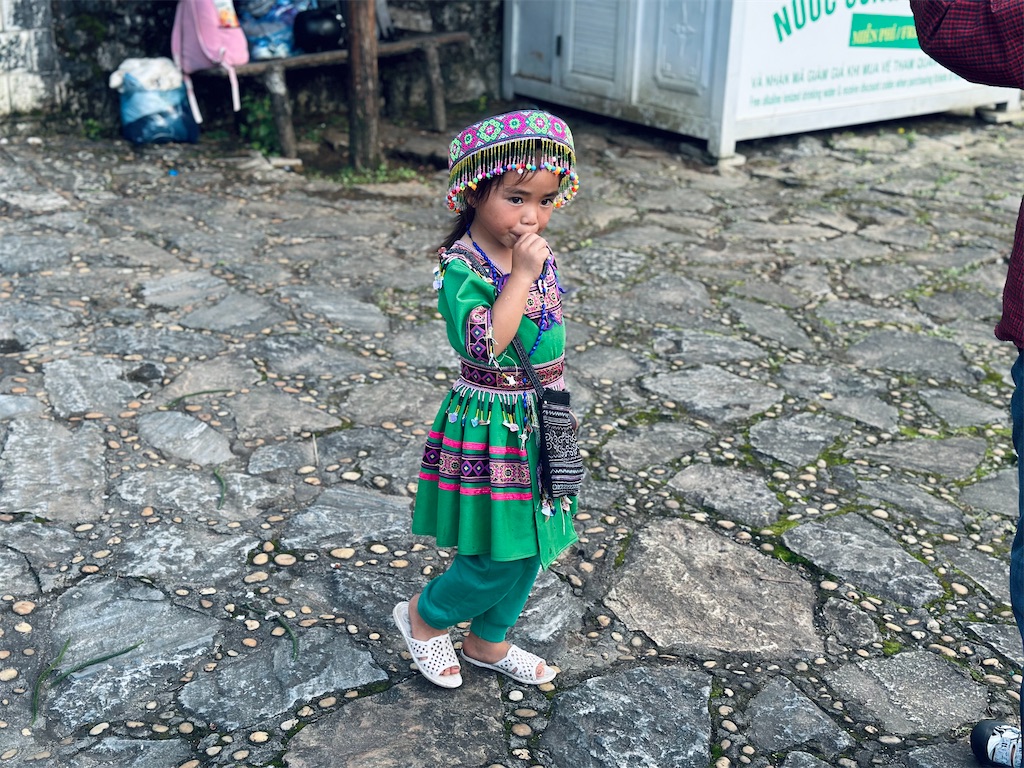 f:id:A-hanoi:20241024142803j:image