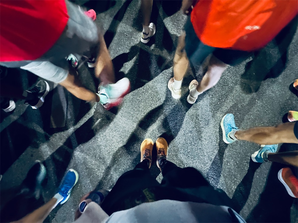 f:id:A-hanoi:20241112125544j:image