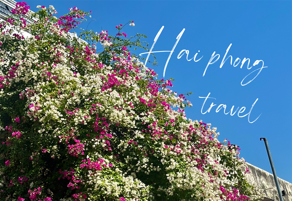 f:id:A-hanoi:20250107223150p:image
