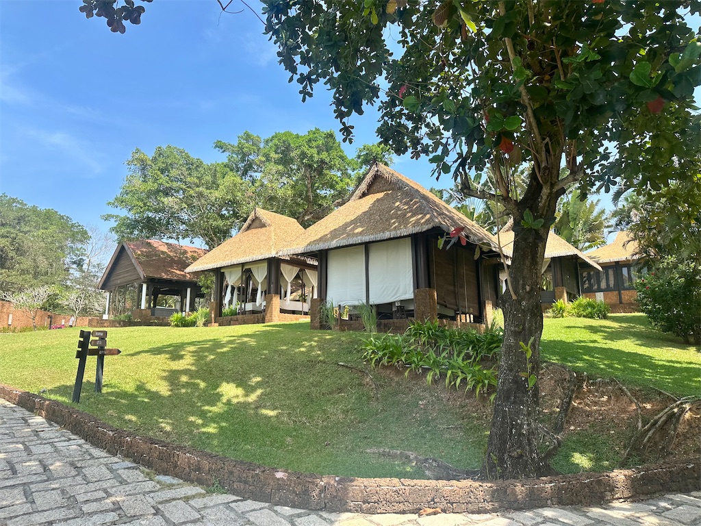 f:id:A-hanoi:20250314141947j:image