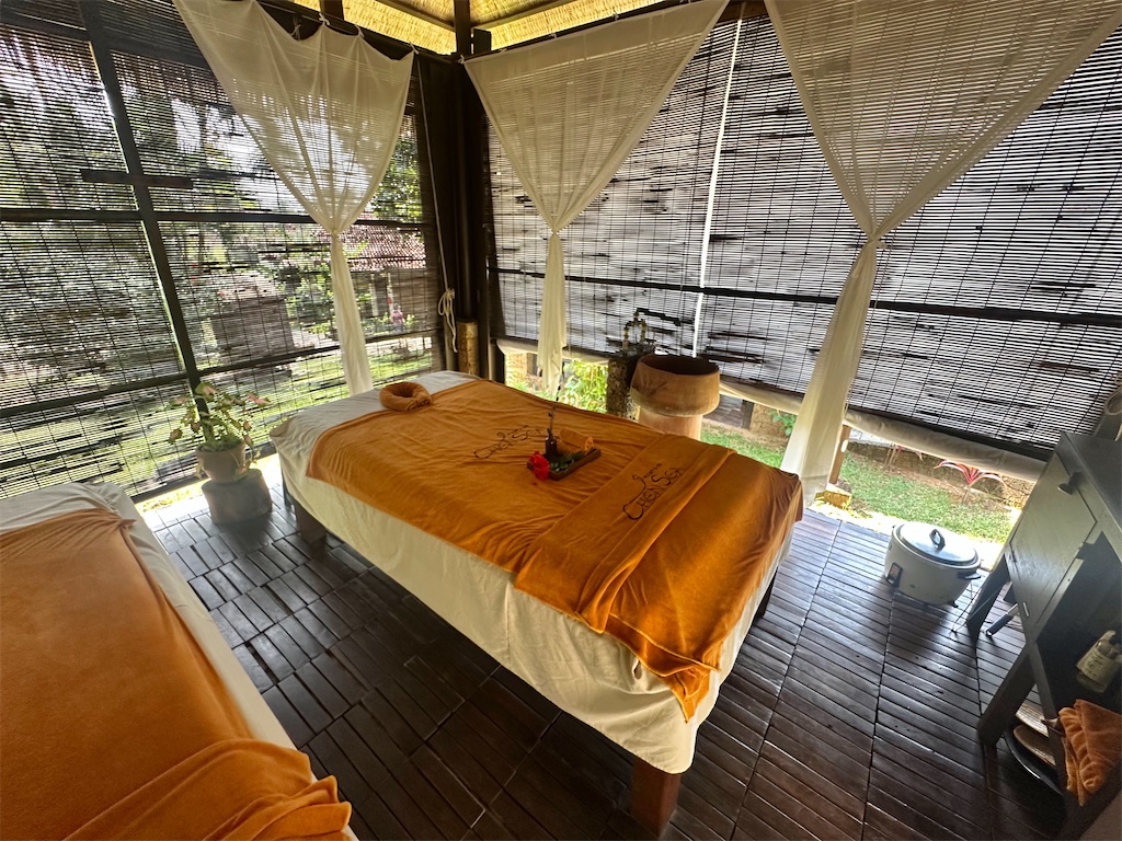 f:id:A-hanoi:20250314143936j:image