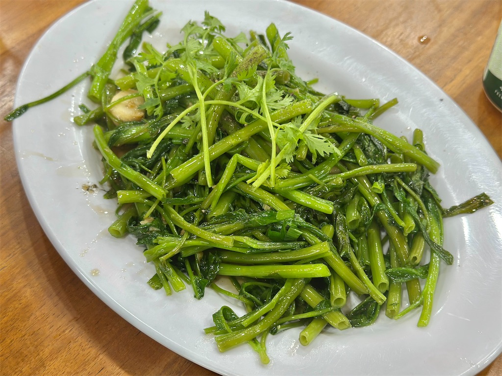 f:id:A-hanoi:20250314160238j:image