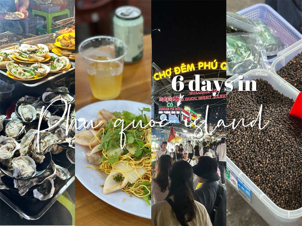 f:id:A-hanoi:20250314162909j:image
