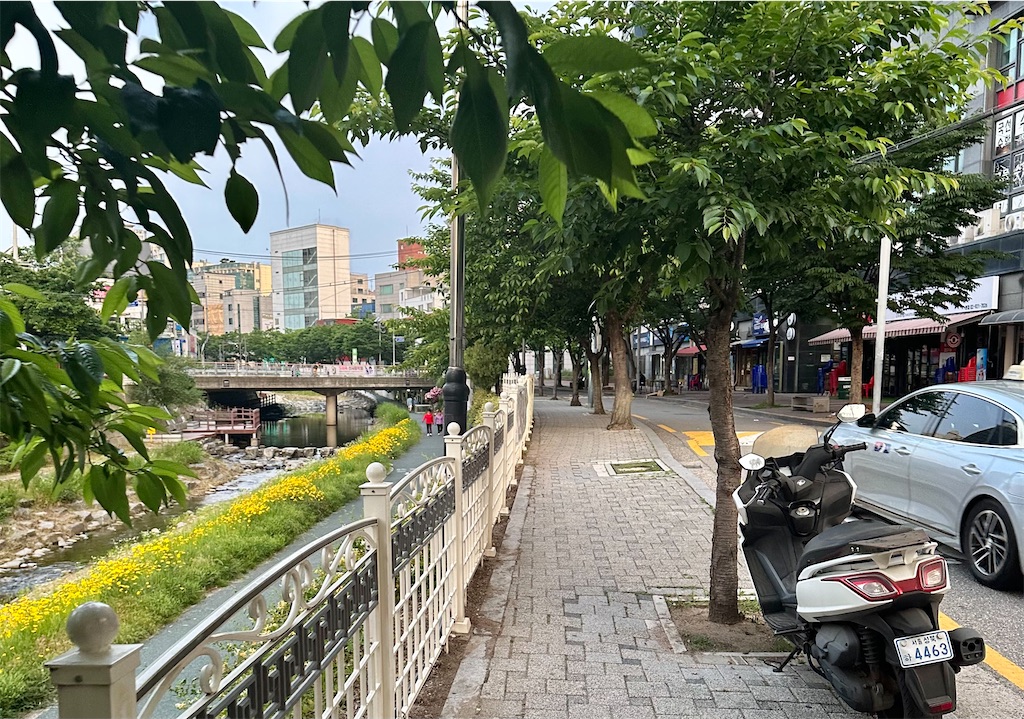 f:id:A-hanoi:20250619155754j:image f:id:A-hanoi:20250619155754j:image