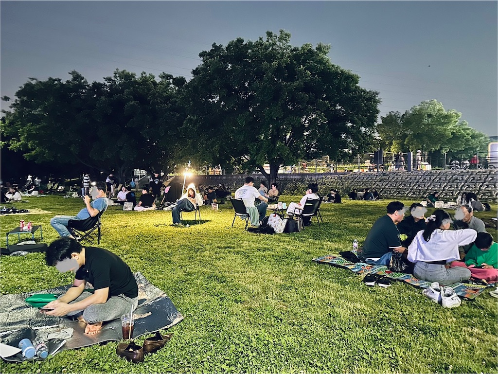 f:id:A-hanoi:20250620130137j:image