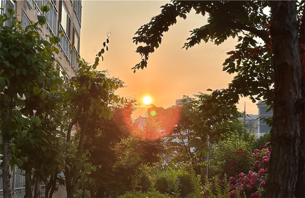 f:id:A-hanoi:20250620173710j:image
