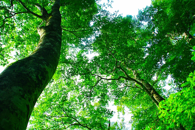 f:id:A-key-Hit:20200203210112j:plain