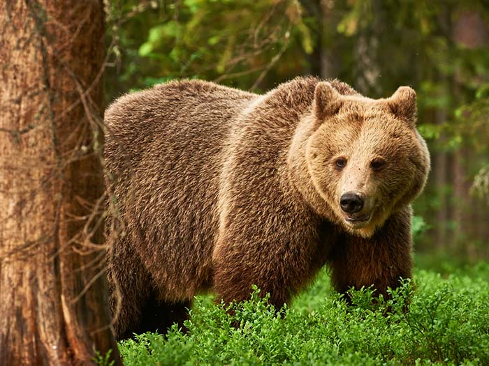 f:id:A-key-Hit:20200217213829p:plain