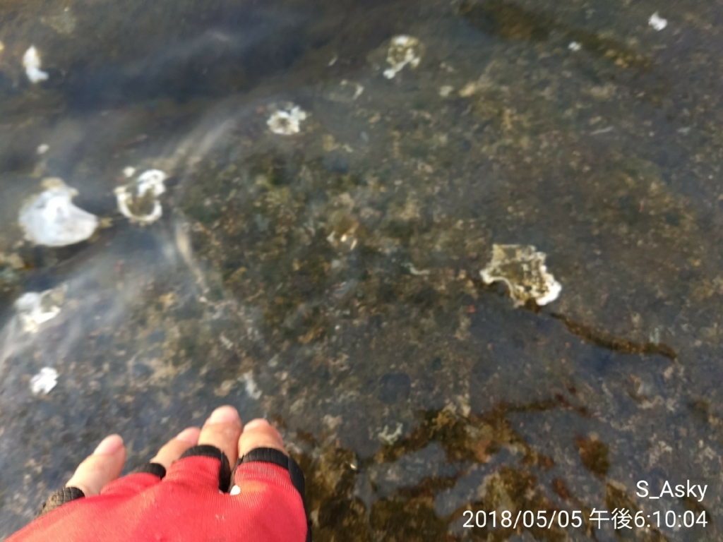 f:id:A-sky:20180513143813j:plain f:id:A-sky:20180513143813j:plain