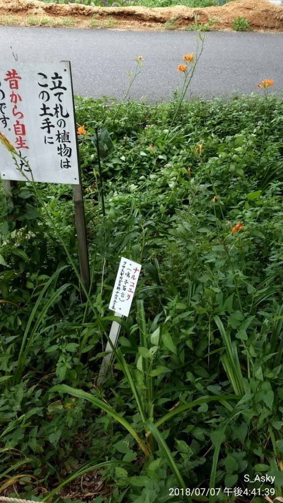 f:id:A-sky:20180714123215j:plain f:id:A-sky:20180714123215j:plain