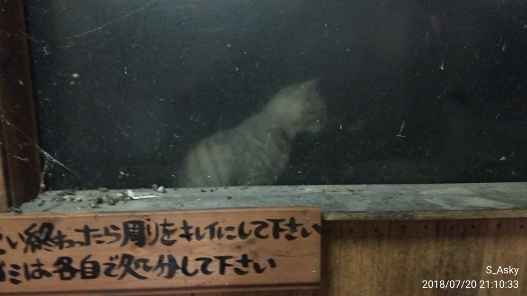 f:id:A-sky:20180729135853j:plain f:id:A-sky:20180729135853j:plain