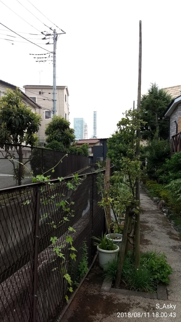 f:id:A-sky:20180813204613j:plain f:id:A-sky:20180813204613j:plain