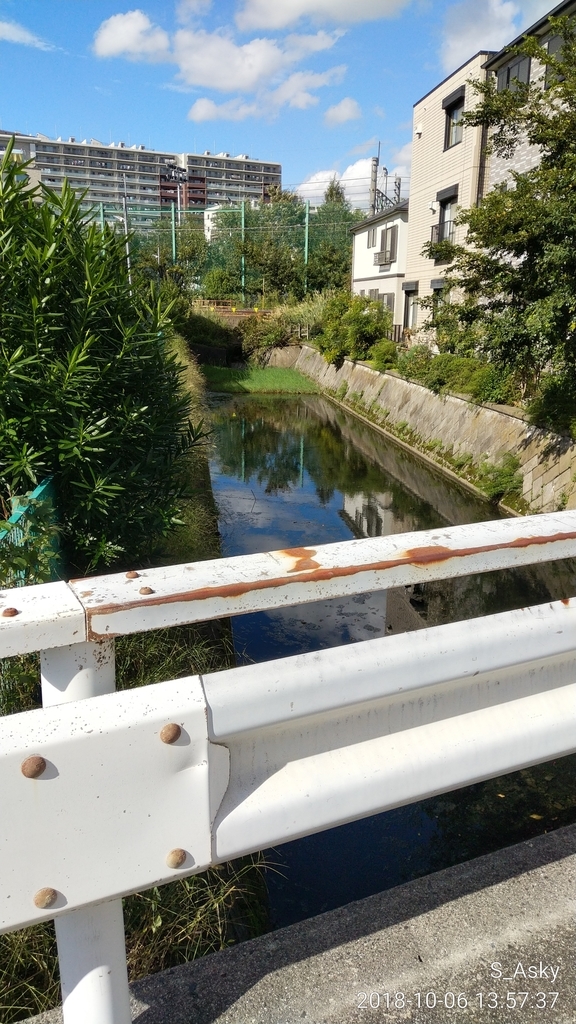 f:id:A-sky:20181027131838j:plain f:id:A-sky:20181027131838j:plain
