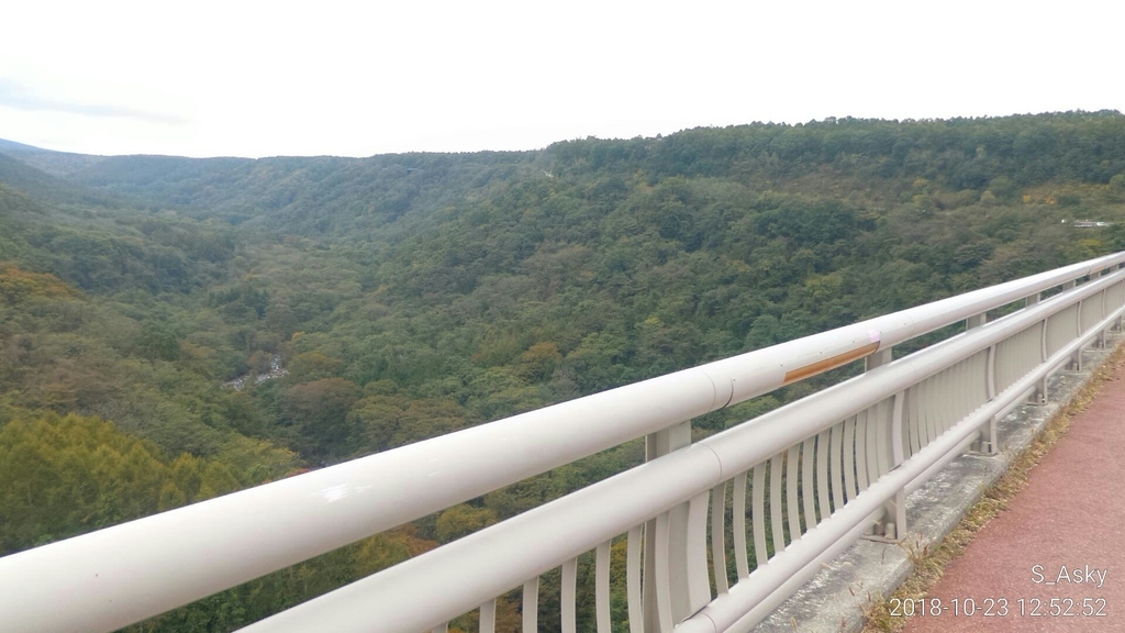 f:id:A-sky:20190310173943j:plain f:id:A-sky:20190310173943j:plain