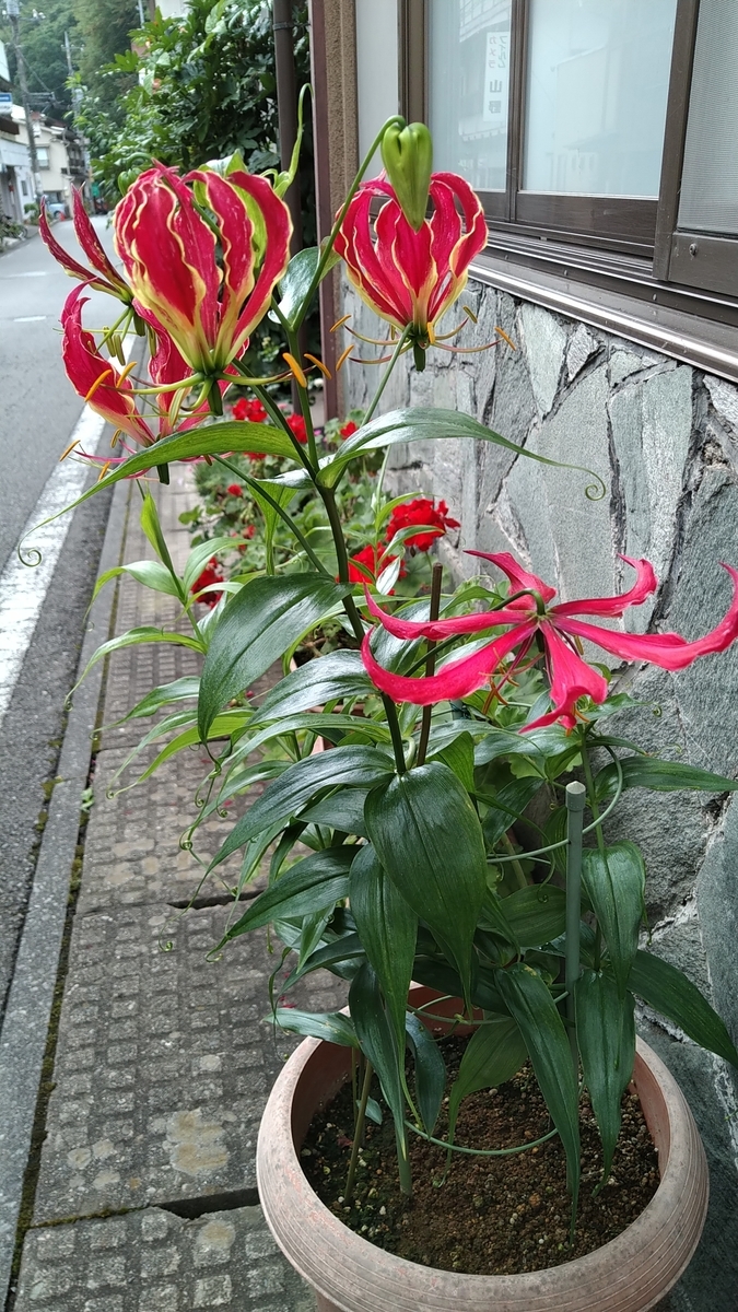 f:id:A-sky:20191022123711j:plain f:id:A-sky:20191022123711j:plain