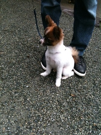 f:id:A-win:20100512120509j:image