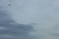 20110114151653