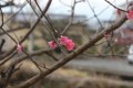 20110209181135