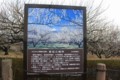 20110209181140