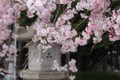 20110403182321