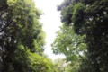 20110608131612