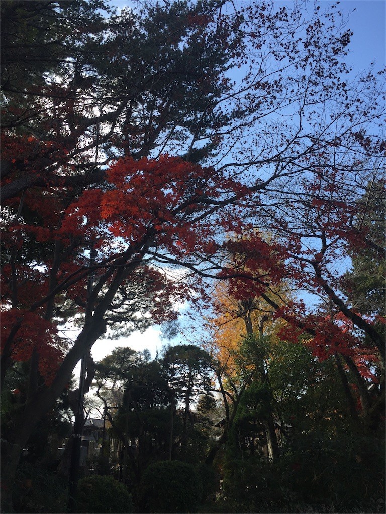 f:id:A-win:20171203220217j:image